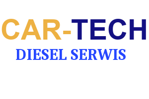 https://www.regeneracja-wtryskiwaczy.com/userfiles/media/default/logo-cartech_13.png